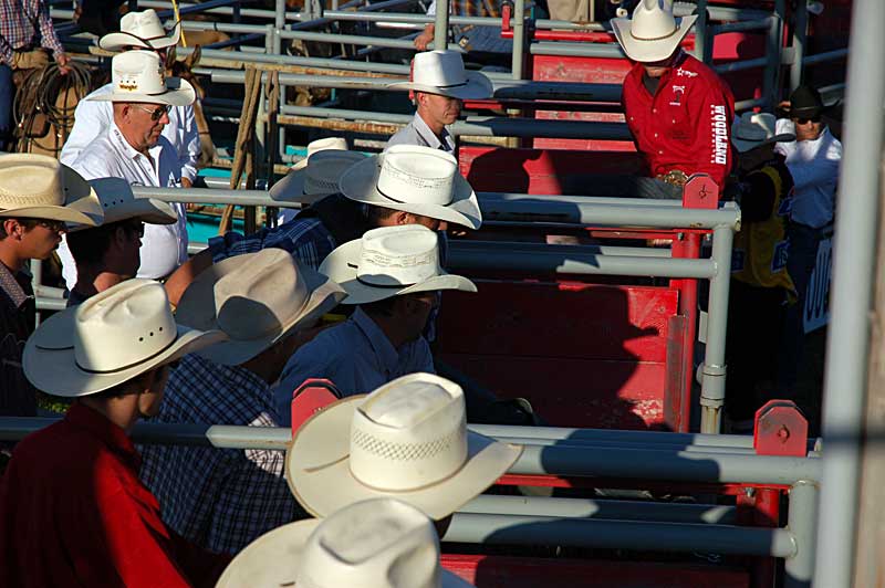 Bull riders and handlers getting ready around the chutes.