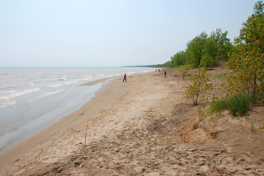 Long Point Provincial Park beach