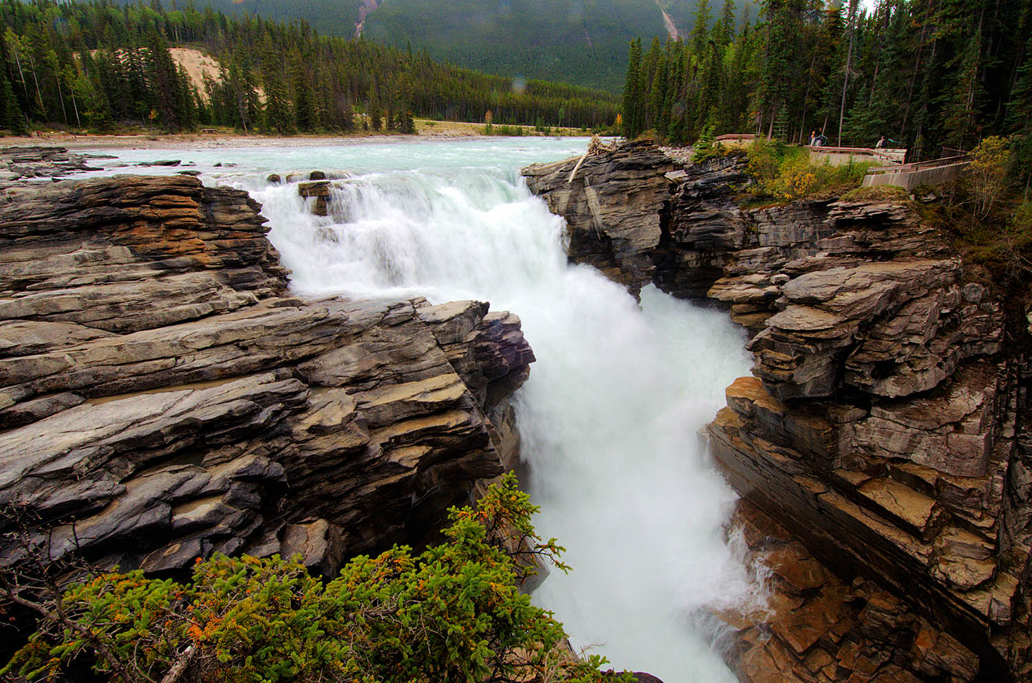 Jasper National Park In The Fall Bugles Brilliance